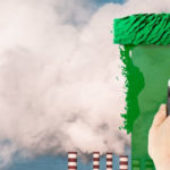 Why greenwashing worries institutions