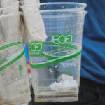 Why greenwashing worries institutions