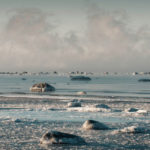 The emerging role of technology companies for banks' climate risk management