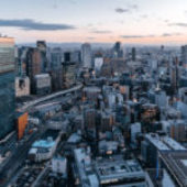 March 2025 OECD Economic Outlook: Steering through uncertain times