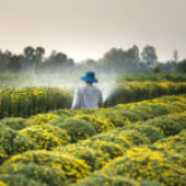 Why is regenerative finance considered more ambitious than sustainability?