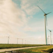 Green promises, harsh reality: only 16% of European companies deliver