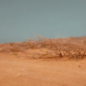 Climate, UN warning: ‘Exceeding the 1.5 degree threshold is inevitable’