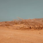 Climate, UN warning: ‘Exceeding the 1.5 degree threshold is inevitable’